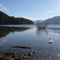 Kachess Lake in December
