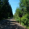 Iron Horse Trail