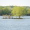 Little Cedar Lake
