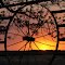 Central Texas Sunset