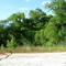 Bradley Unit of Eufaula NWR