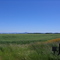 Fields of Grass under Blue Sky