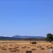 Haybales of August