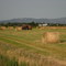 Hayfield