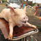 piggy