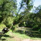 Nature Trail Coyote Creek