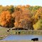 Fall in Nodaway County