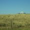 Antelope in the Grass Near Almy, Wyoming