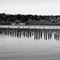 Lake Sammamish