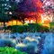 Sunset in Redmond