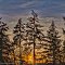 Washington Sunset