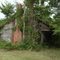 Summer rental