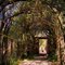 In the gardens at Tryon Palace