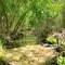 creek