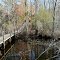 Path to Canoe Dock, Taberna