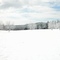 Uwharries in Winter Wonderland