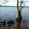Jones Lake State Park