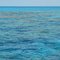 Eastern Dry Rock Coral Reef, Florida