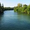 Cowlitz River - 200906LJW