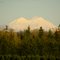Mt. Rainier from near Winlock