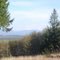 Rainier, from a far