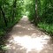 Pleasant path to Antelope Spring