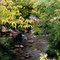 Sulfer Spring - Chickasaw National Recrational Area