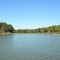 Newberry Creek