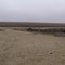 Farmland (View Southeasterly)