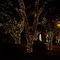 Ennis Christmas Lights 2008