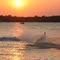 Water Ski on Lake Athens