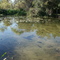 The Fishery- Athens, Texas