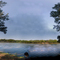 Lone Star Ranch, Athens, TX.