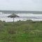Tropical Storm Arlene 2005