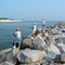 The Cut at St. George Island