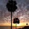 sunset over Apalachicola Bay, from east end of Gorrie bridge, Eastpoint Fla (11-26-2011)
