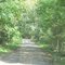 Country Roads in Winnsboro, TX