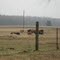 Winnsboro TX, jan 2011