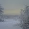 Snow Storm
