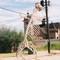 GIANT T REX