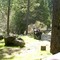 Wildwood Road