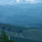 Mt. Rainier from Tiger Mountain