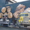 Snoqualmie 2003 Centennial Mural