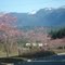 Spring has knocked the snoqualmie WA