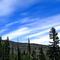Timberline