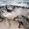 Mount St. Helens National Volcanic Monument
