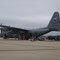 Jungle Hopper on Pope Air Force Base, Near spring Lake NC