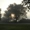 Foggy morning at Shager Park near Fairbault MN.