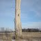 Old trunk, Roberds Lake Blvd Faribault MN USA January 2013