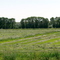 Fields near Fort Bridger, Wyoming